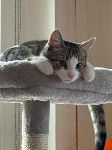 Ungleiches Pärchen Anna & Sepp