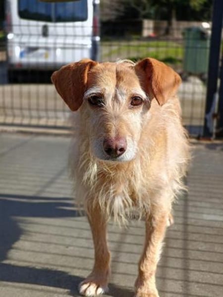 BECKY ❤ sucht einfühlsame Menschen