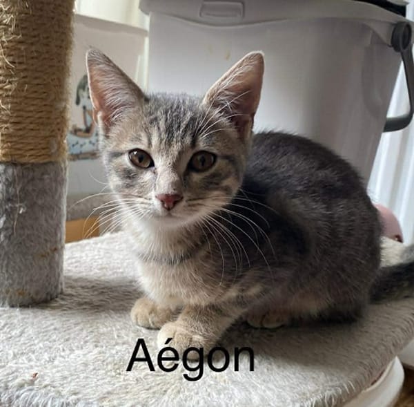 AEGON