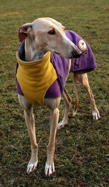 Clarina ist ein Schatz