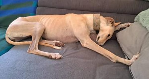 Clarina ist ein Schatz