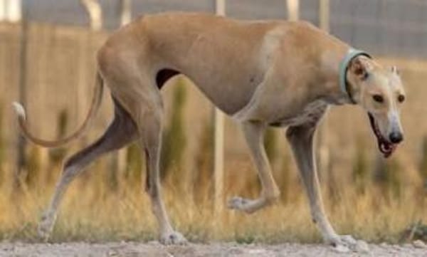 Clarina ist ein Schatz