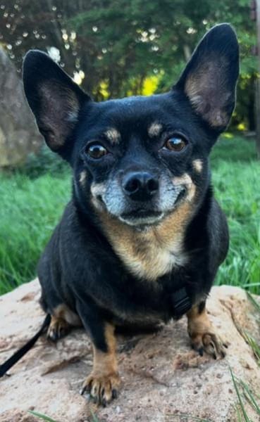 Fibi° in 67281 Kirchheim Anfragestopp