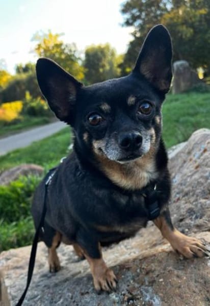 Fibi° in 67281 Kirchheim Anfragestopp