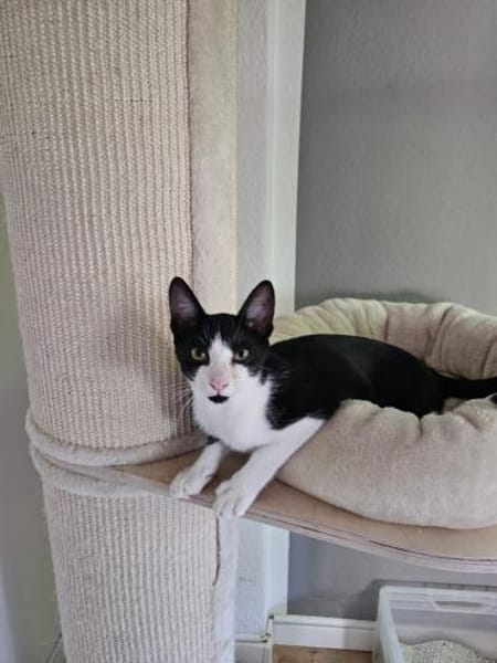 Sonnenschein Niko wartet auf Dich