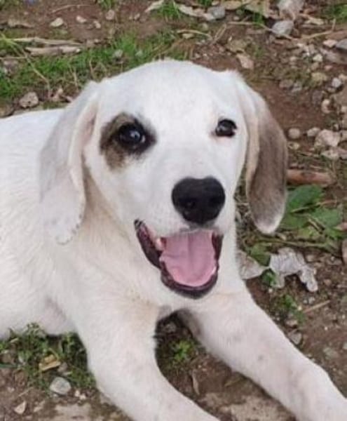 Finn - unser kleiner Pirat