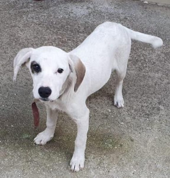 Finn - unser kleiner Pirat