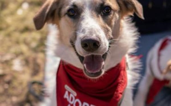 Kuschelbär Quinny sucht seine Familie