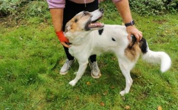 Kuschelbär Quinny sucht seine Familie