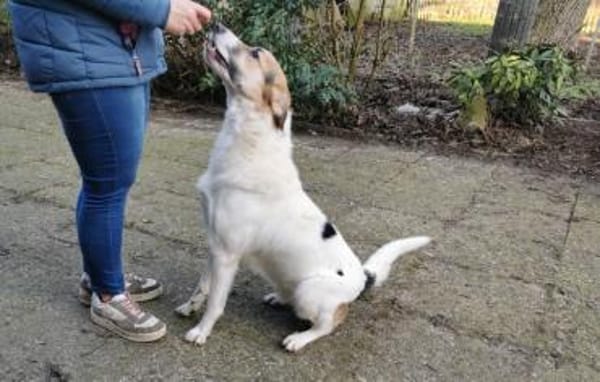 Kuschelbär Quinny sucht seine Familie