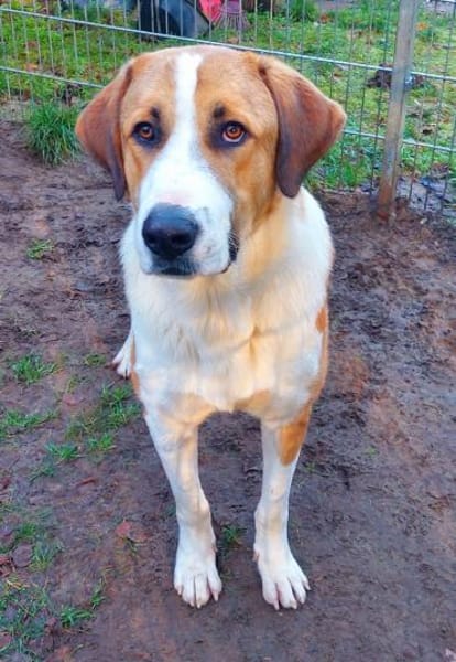 Moisès möchte endlich ankommen