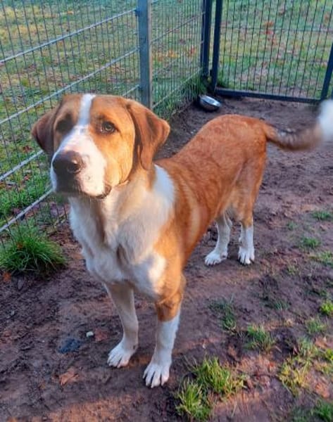 Moisès möchte endlich ankommen