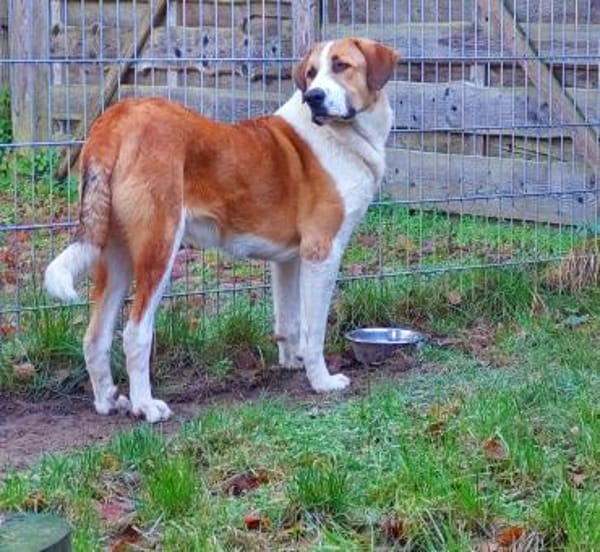 Moisès möchte endlich ankommen