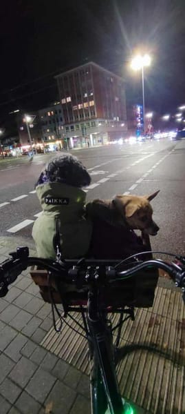 Anouk - der gute Laune Hund