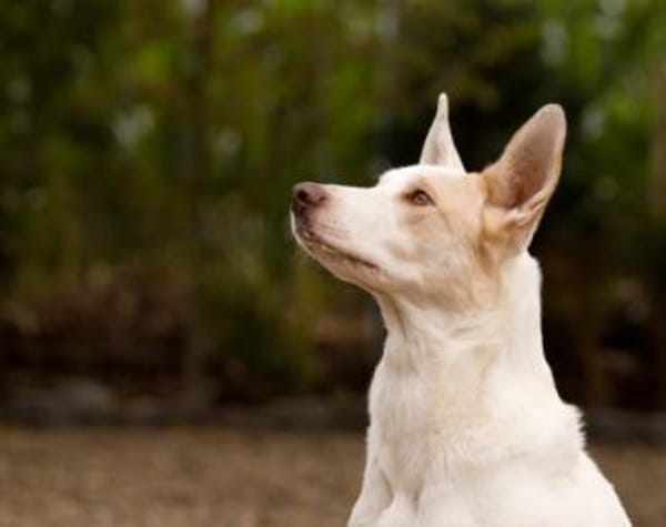 Schlägt Dein Herz für Froggy?