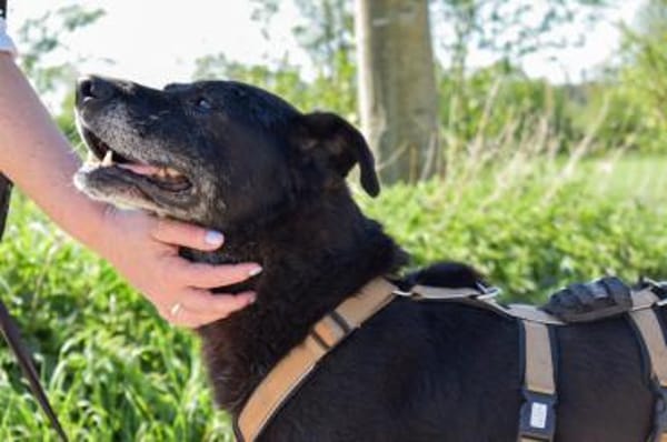 Zurly wartet schon lange auf dich!