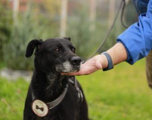 Zurly wartet schon lange auf dich!