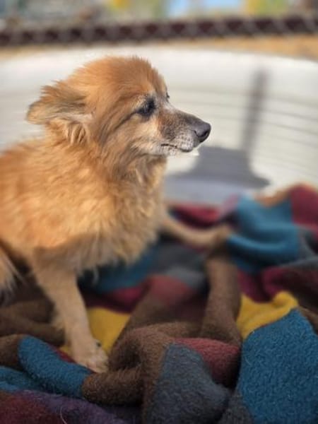 Lotti kleine Oma - 76661 Philippsburg