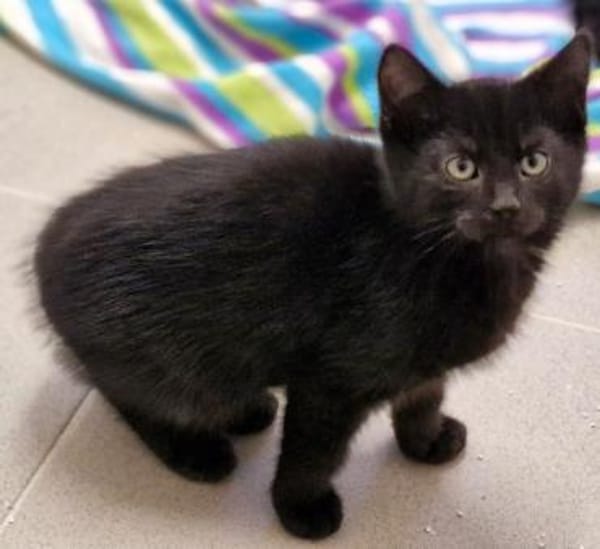 Taco,Brezel,Trüffel,Schaschlik,Zwiebel