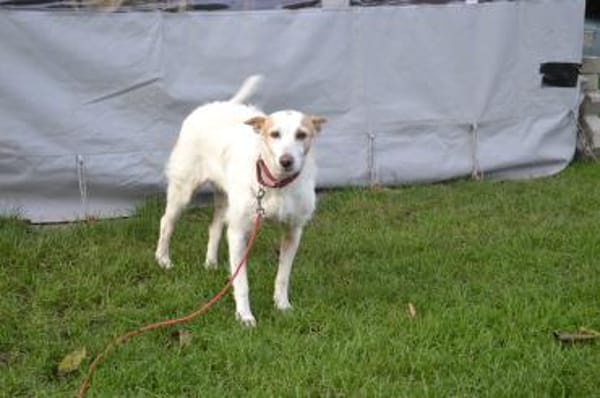 Joana hatte keinen tollen Start