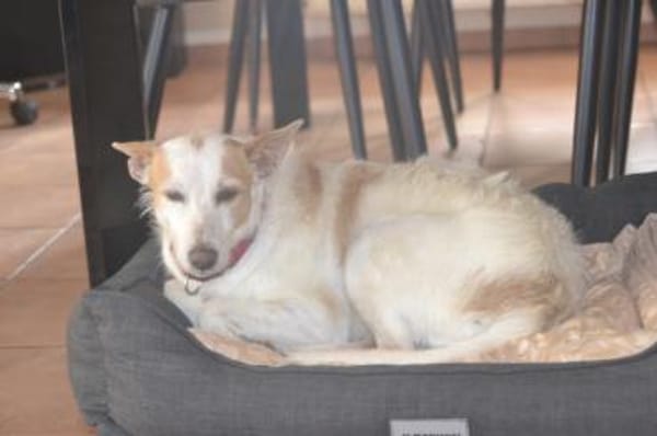 Joana hatte keinen tollen Start