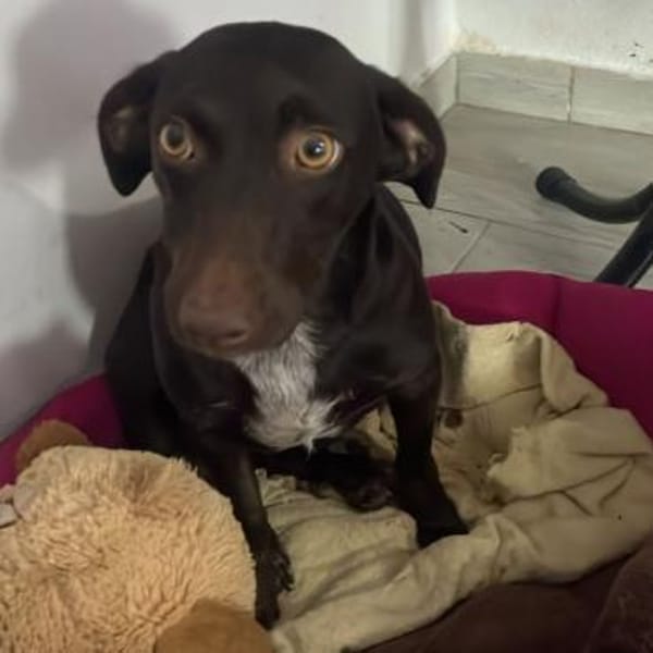 ruhige aufgeschlossene Sara ❤