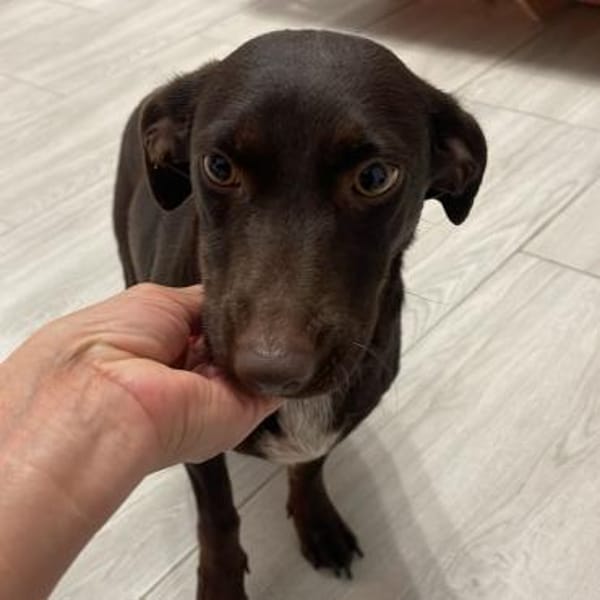 ruhige aufgeschlossene Sara ❤