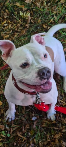 Bonnie, freundlich und lustig