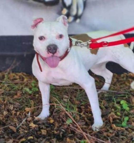 Bonnie, freundlich und lustig