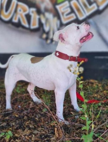 Bonnie, freundlich und lustig