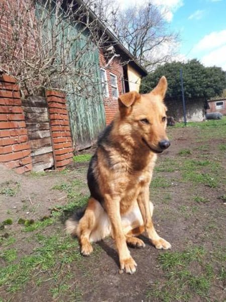 Yuki - schüchterne Schönheit