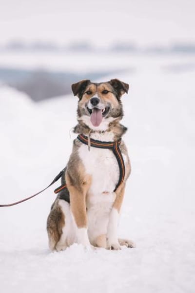 Emilia, ausgeglichen und freundlich