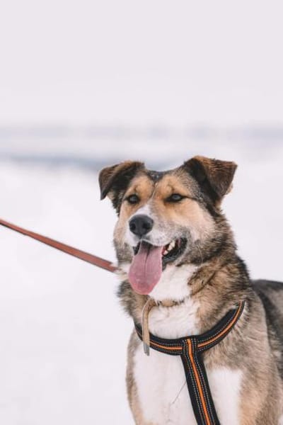 Emilia, ausgeglichen und freundlich