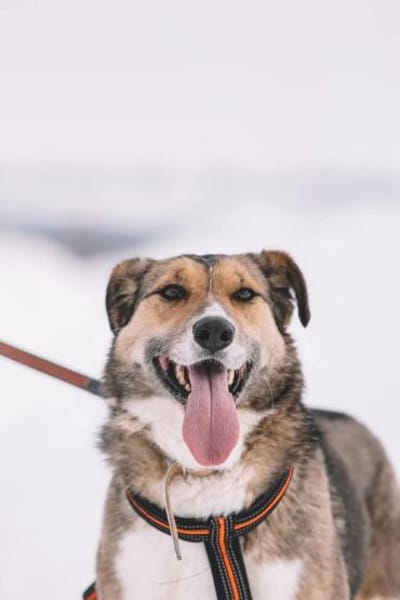 Emilia, ausgeglichen und freundlich