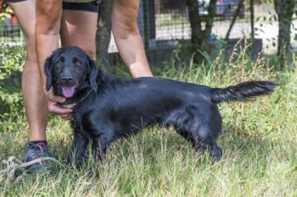 Benny - Herzensbrecher und Sonnenschein