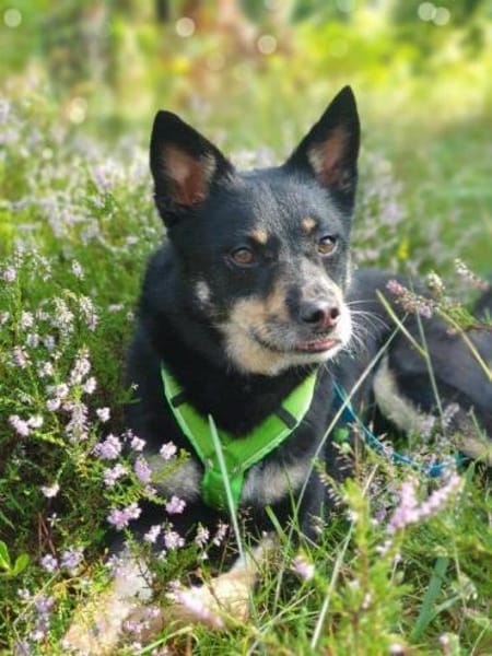 Sam- auf Ps Nähe Nürnberg