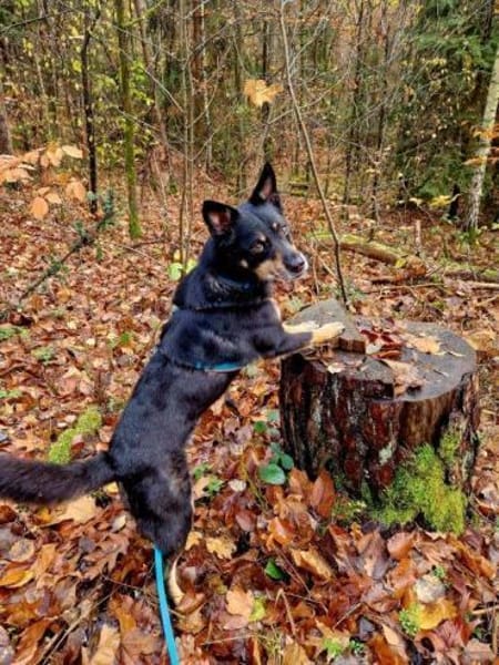 Sam- auf Ps Nähe Nürnberg