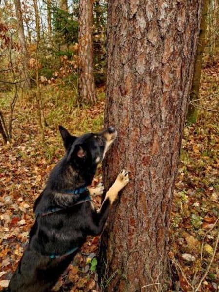 Sam- auf Ps Nähe Nürnberg