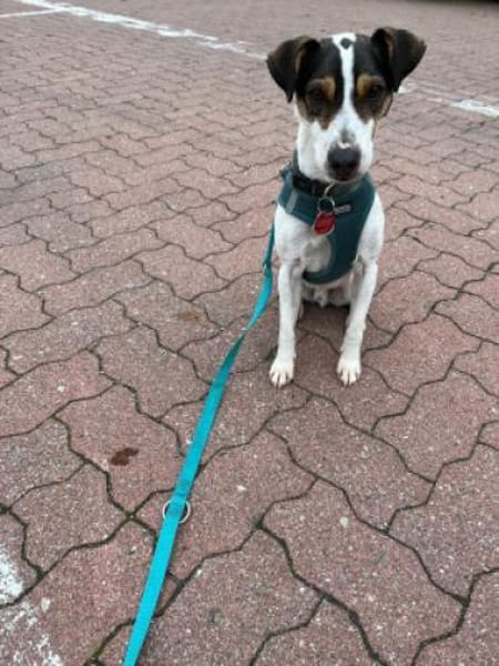 Jake - ein echter Hauptgewinn