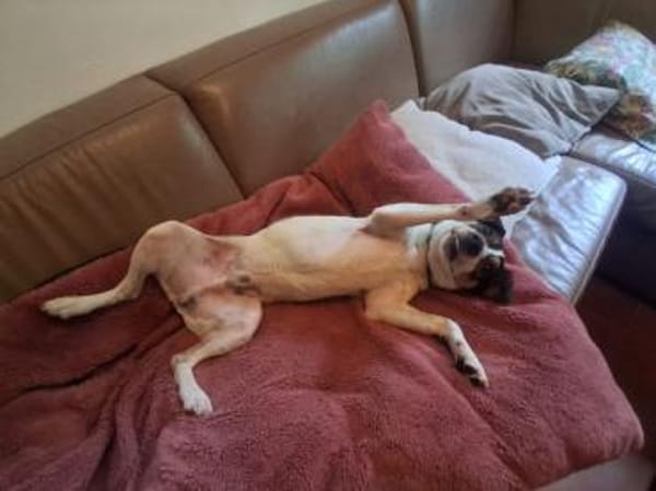 Jake - ein echter Hauptgewinn