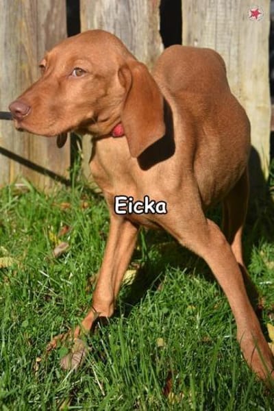 EICKA