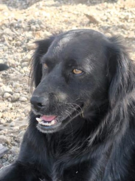 Nuts ist ein Draufgänger