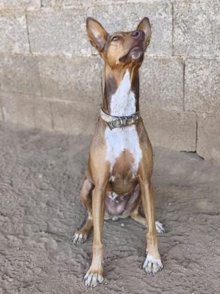 Melodia hat wieder Vertrauen