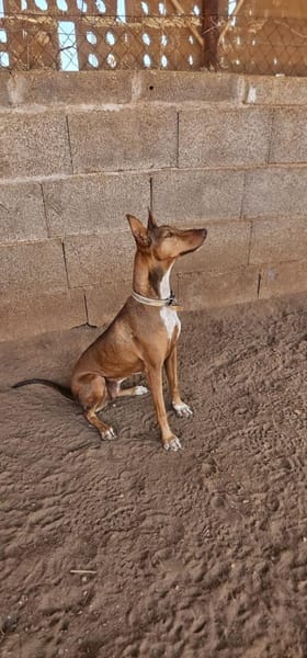 Melodia hat wieder Vertrauen