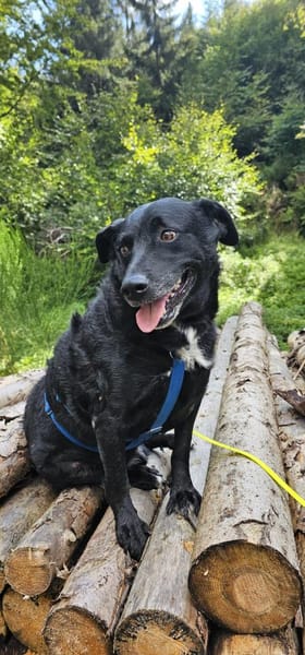 Jones  möchte Ankommen