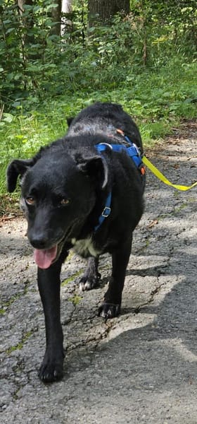 Jones  möchte Ankommen