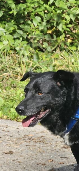 Jones  möchte Ankommen