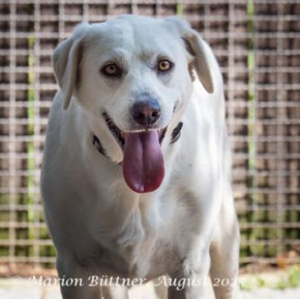 Bianca ist sehr zurückhaltend