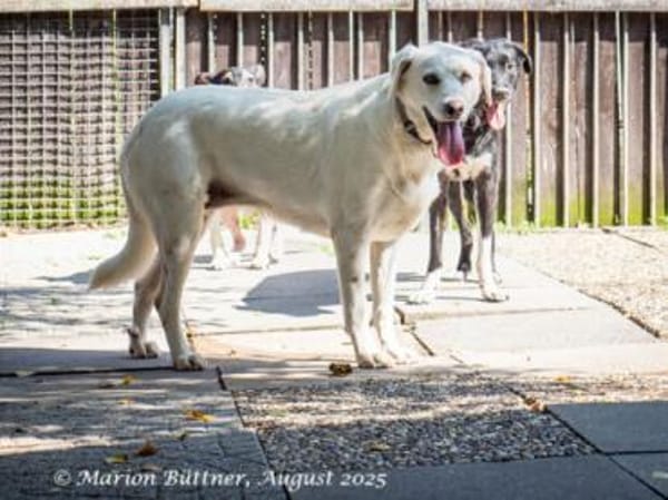 Bianca ist sehr zurückhaltend