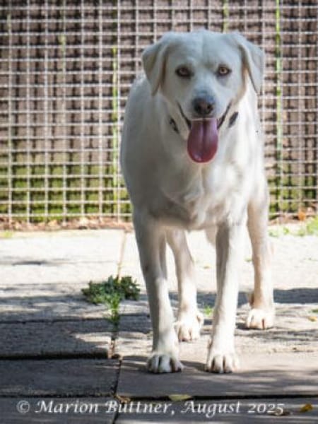 Bianca ist sehr zurückhaltend